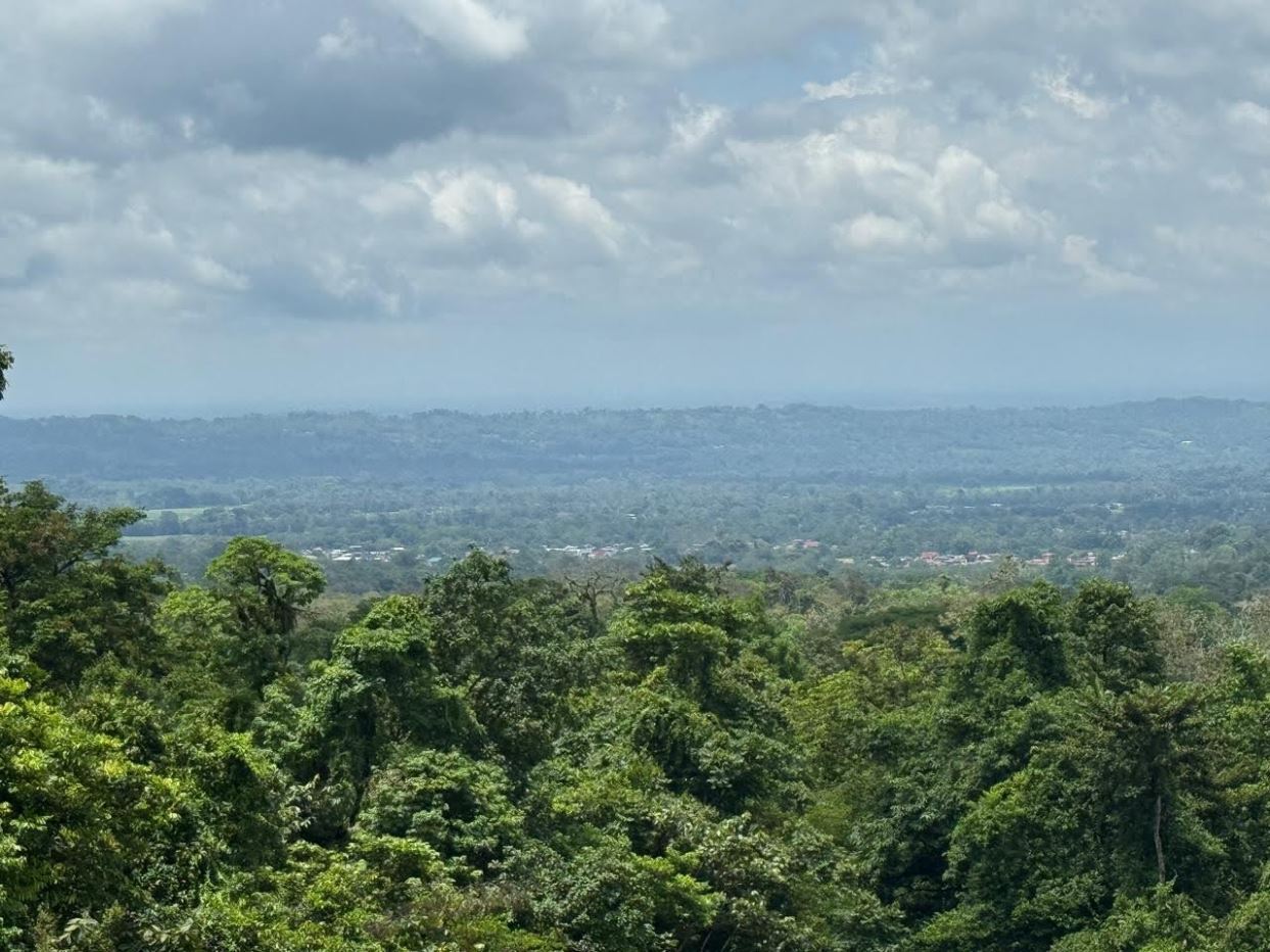 Terreno en venta en La Fortuna, Alajuela