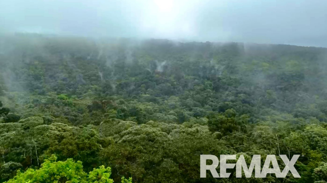 757 Hectares of Cloud Forest for Sale in Costa Rica – Ideal for Carbon Credits
