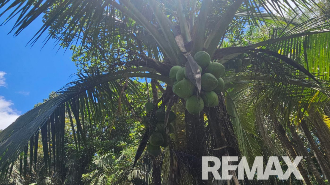 Riverfront Property with Expansion Potential Near La Fortuna – 2