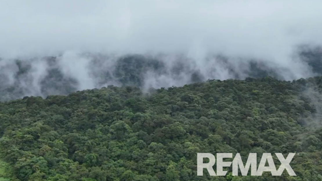 Conservation and Wellness Development