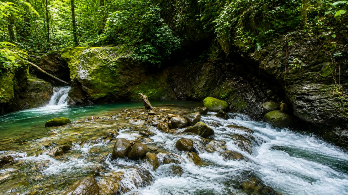 Rare 58-Hectare Conservation & ESG Investment Property with Waterfalls
