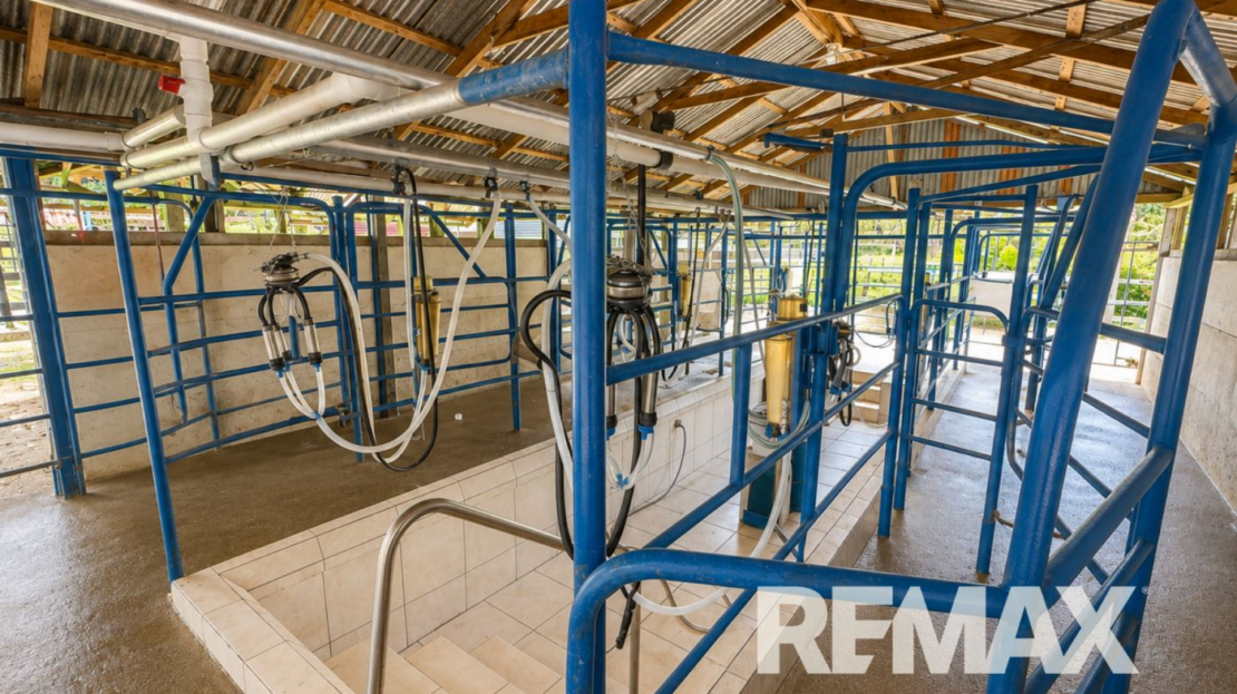 Cattle ranch near Lake Arenal