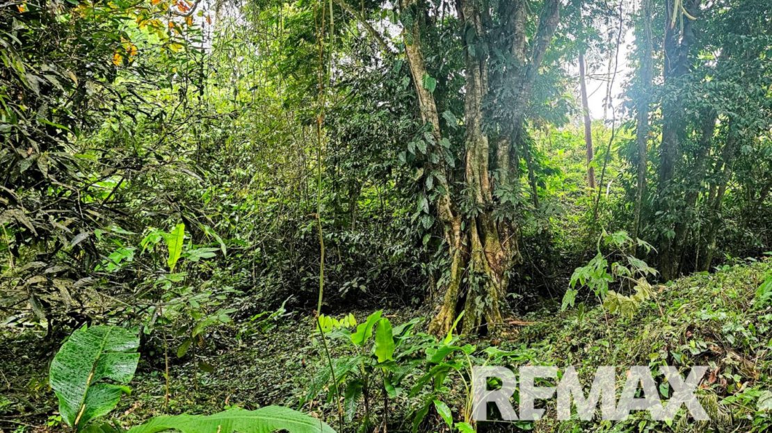 Beautiful Riverside Property in La Tigra – Great Value at ¢50