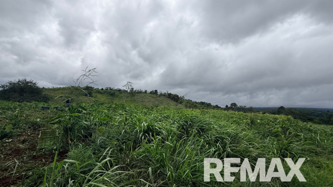 Costa Rica Real Estate
