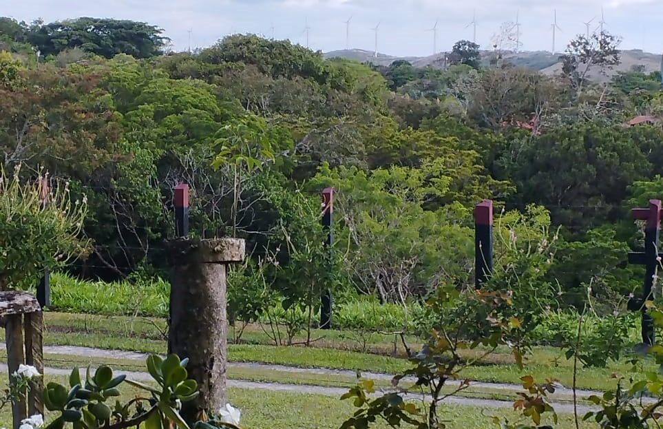 Costa Rica Real Estate
