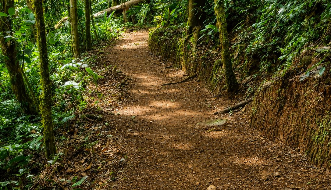 Hydraulic Power and Eco-Lodge Near La Fortuna