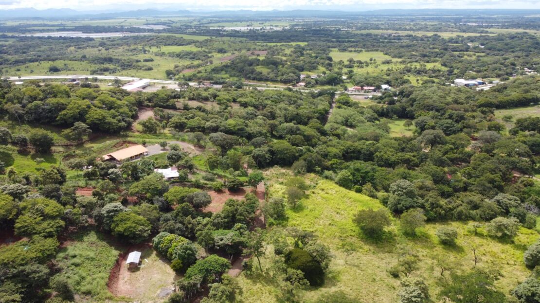 Guanacaste