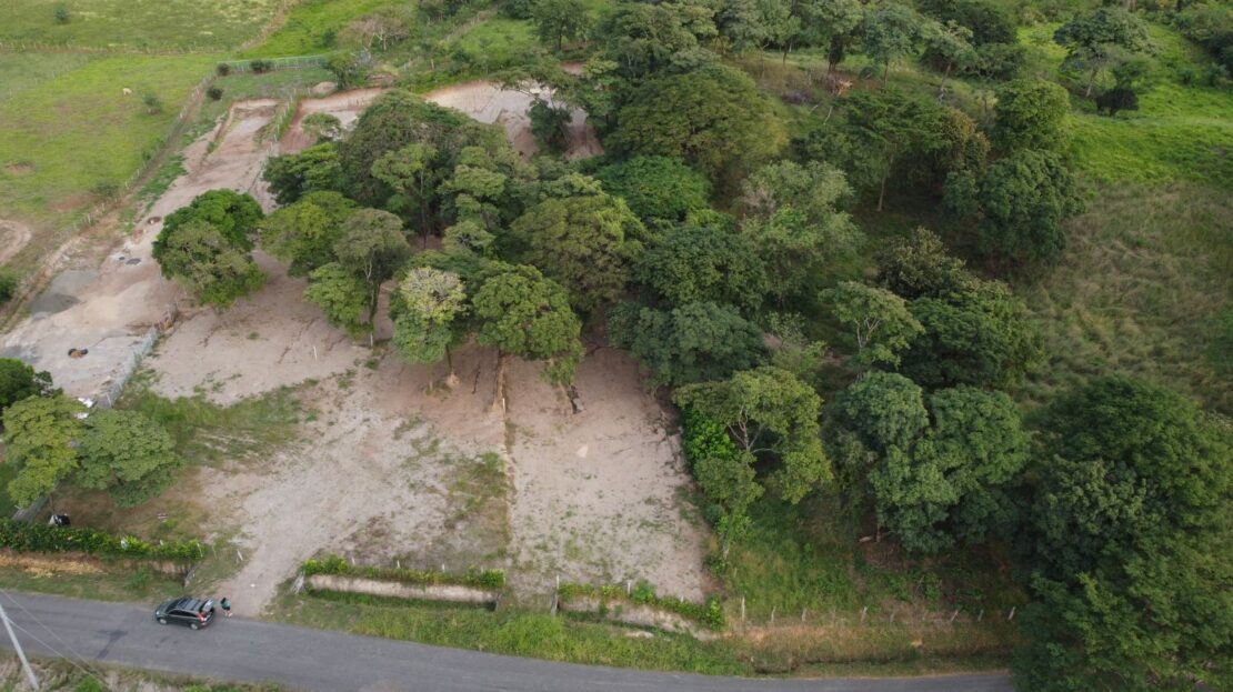Guanacaste