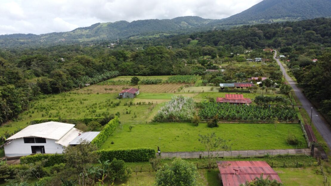 Upala