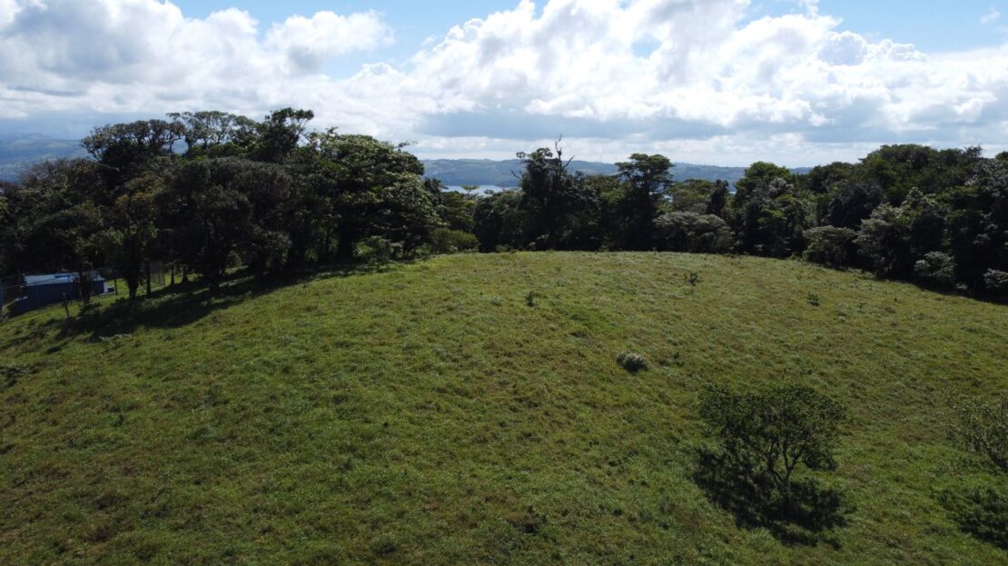 Guanacaste