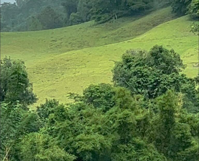 000 m² Property with Volcano Views & Private Waterfall– Peñas Blancas