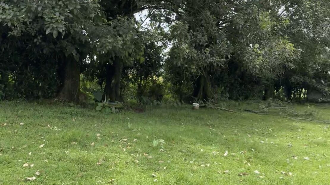 284 m²