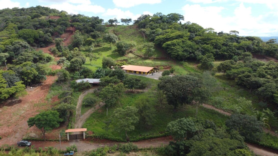 Guanacaste