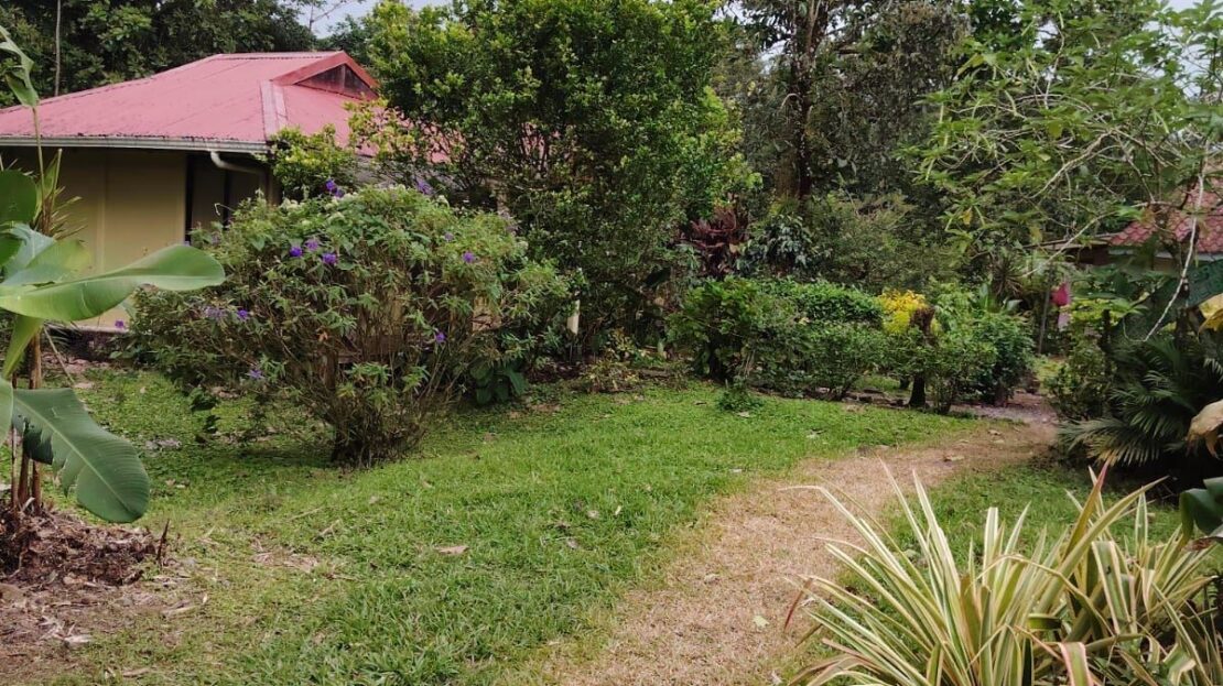543 m² in Bijagua