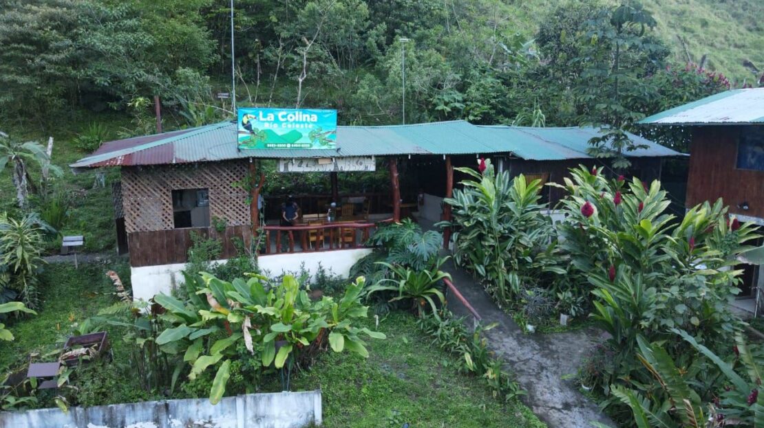 Upala