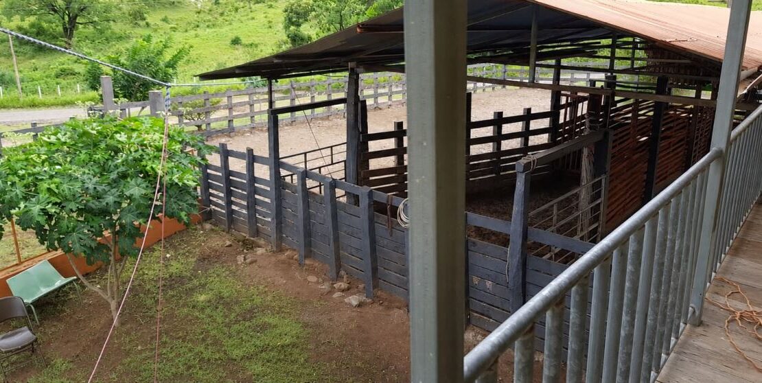166-Hectare Cattle Ranch with Abundant Water and Complete Infrastructure in Cañas