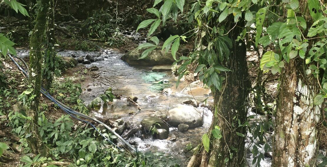 Costa Rica Real Estate