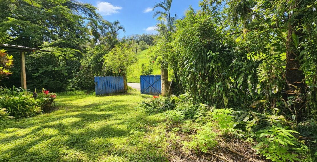 Costa Rica Real Estate