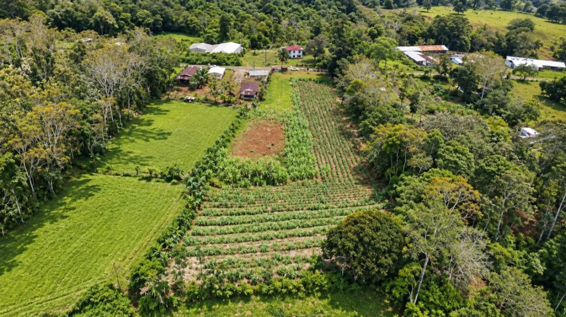 Prime Buildable Land for sale in Chachagua – 6