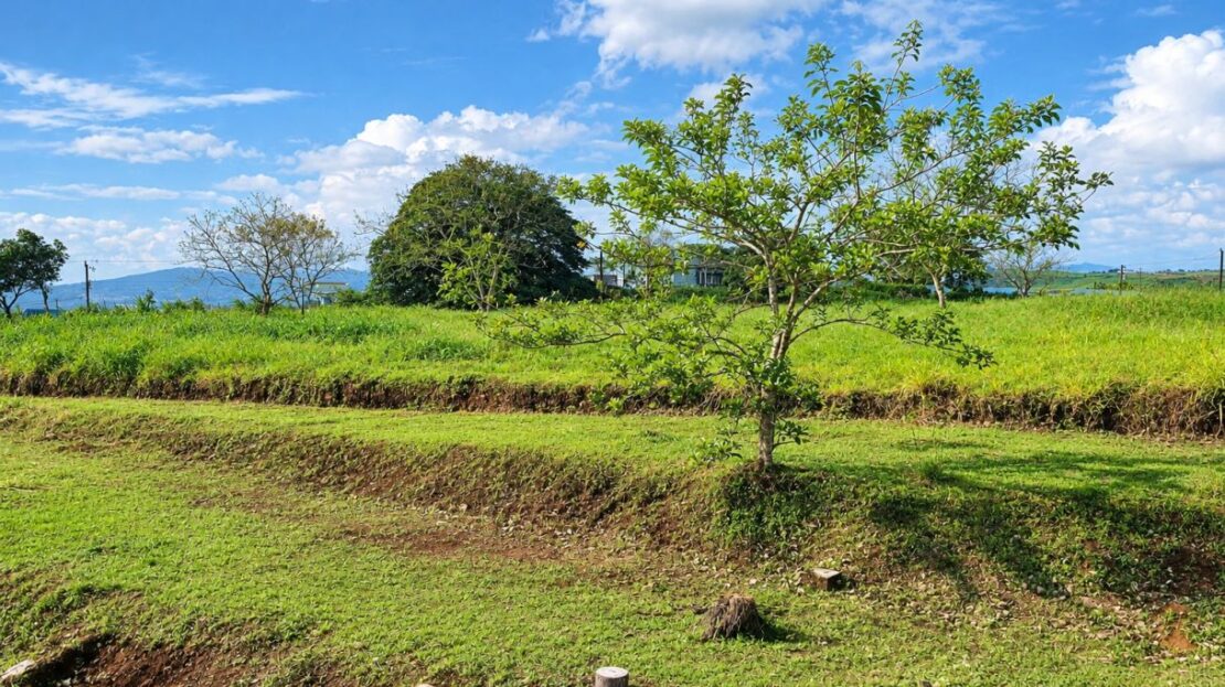 Prime Highway Front Investment Property for Sale in Ciudad Quesada | Commercial & Residential Development Land