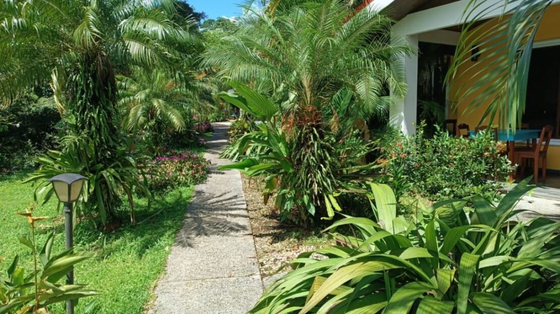 Costa Rica Real Estate